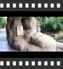 ../pictures/Akron Zoo/DSCF5022_1_small_icon.jpg